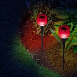 8ee3aecadb607e593e0c237942a4d2a8