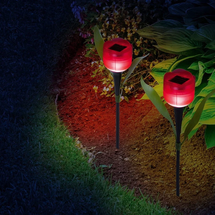 8ee3aecadb607e593e0c237942a4d2a8