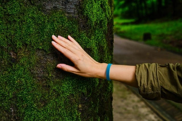 b2560b7d5c8e4526719204dd8433b476